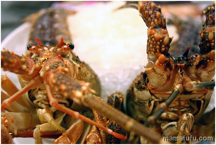 lobster sashimi.jpg - hot pot, hong kong, china